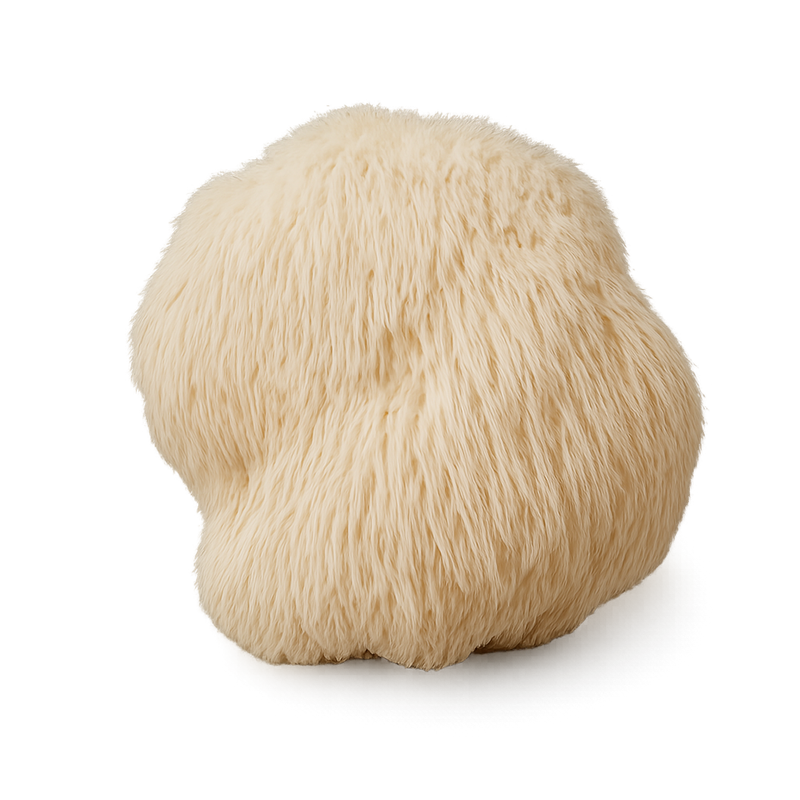 Lions Mane mushroom